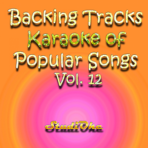 Stitches (Originally performed by Shawn Mendes) (Instrumental Version)