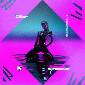EXPERIENCE (HYPERTECHNO)