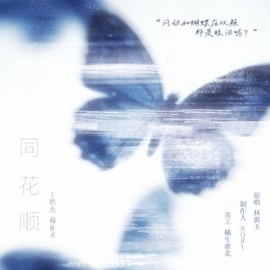 林倛玉-同花顺（橹穆）（橘生淮北 remix）