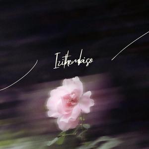 Izithembiso (feat. Inkanyezikamama & Mdue sings)