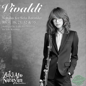 Sonata in E Minor, RV 16: I. Preludio. Andante