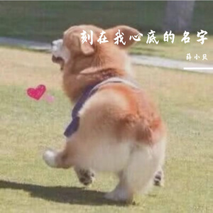 刻在我心底的名字