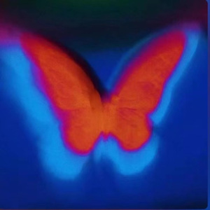 【Free】"THE UGLY TURTH" SASIOVERLXRD type beat