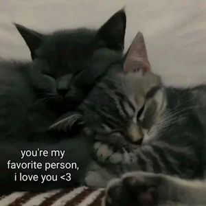 "依靠" sadpiano x sasi x bobby x 痛苦旋律伴奏