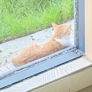 当我早上起来的时候