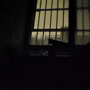 我不想再陷入痛苦了（prod by TESLA-ZFX3）