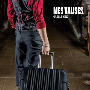 Mes valises