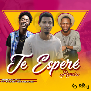 Te Esperé (Remix)
