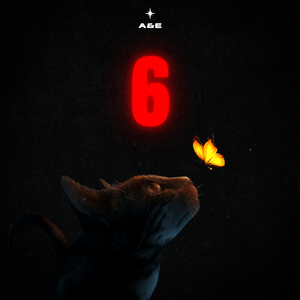 6（Prod By 9Zi）