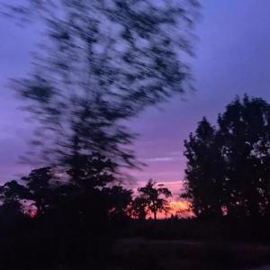 泛滥（Prod. by Realism）