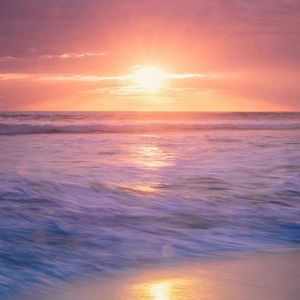 海花（Sea of Flowers)