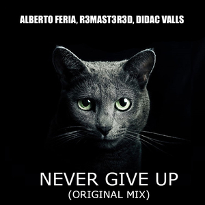 Never Give Up (Original Mix)