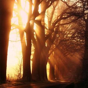 想跟我最想见的朋友见个面