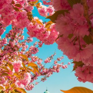 万一奥特曼打不赢小怪兽