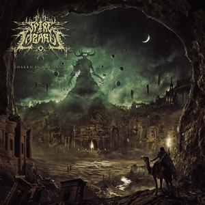 Mask of the Wraith (feat. Max Nagl)