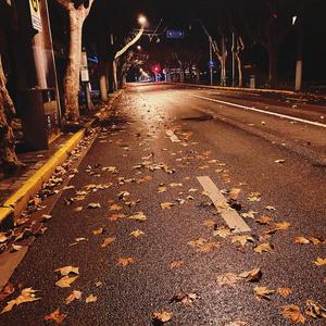 秋天的复兴中路