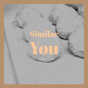 Similar You