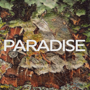 Paradise