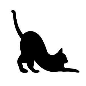 빌려온 고양이(do the dance