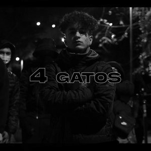4 Gatos