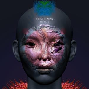 Le Torri del Silenzio