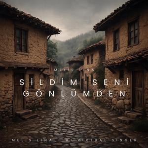 Sildim Seni Gönlümden