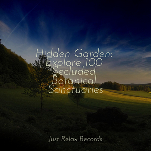 Enchanted Timelessness
