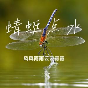 蜻蜓点水