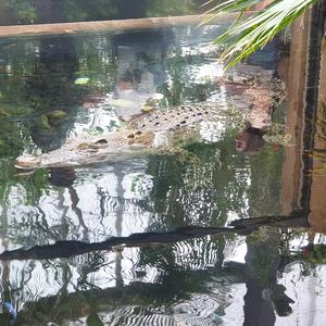 Gone But Not Forgotten