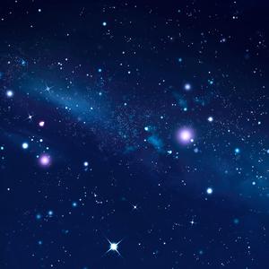 寻找着他的归宿