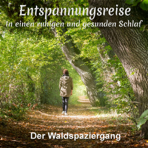 Einschlafen Waldspaziergang 4