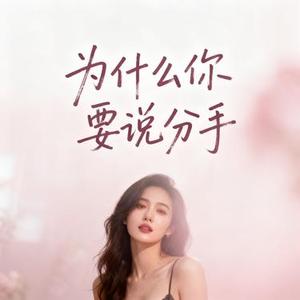 为什么你要说分手