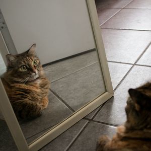 侠客（挂电版）（Prod by.Heaven JBEATZ）