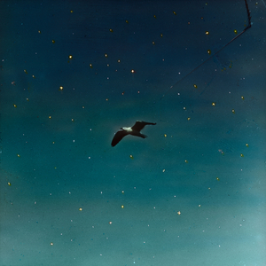 Highway Night Air