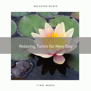 Calming Songs for New Nap
