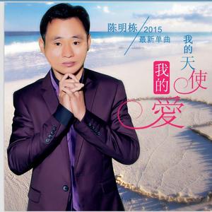 我的天使我的爱