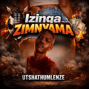 Izinqa zimnyama