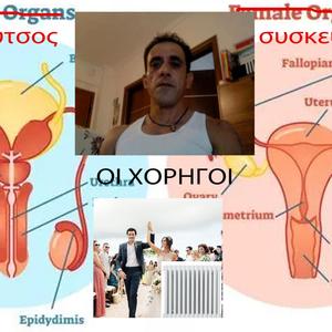 Οταν Γαμας Γυναικες