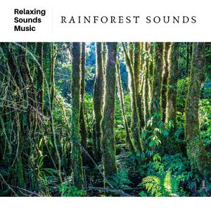 Rainforest Sounds