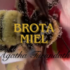 Brota Miel