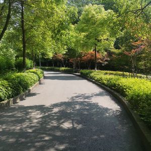 我曾遇到一束光