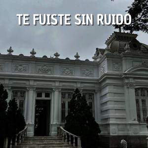 Te Fuiste Sin Ruido