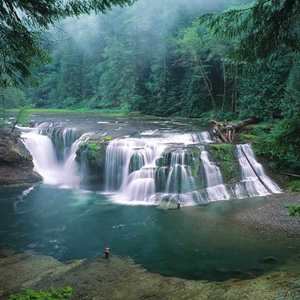 Flower dance（Rain）