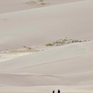 罗生门follow（又到了听罗生门的季节）