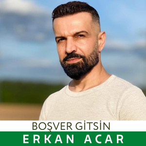 Boş Ver Gitsin