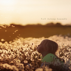 조용히 잠이 들다