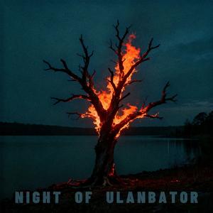 谭维维 - 乌兰巴托的夜(Rayk Remix)