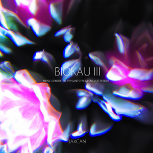 Pelecyphora aselliformis