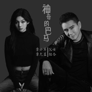 神奇的巴马 伴奏