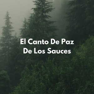 Desbordamientos Brillantes